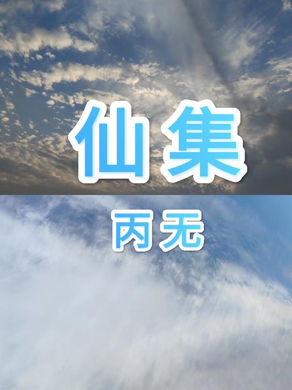 仙集团有限公司