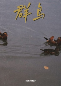 群鸟飞过湖面动态描写一段话
